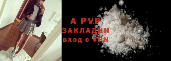 спиды Новодвинск