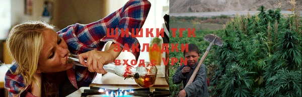 ECSTASY Новозыбков