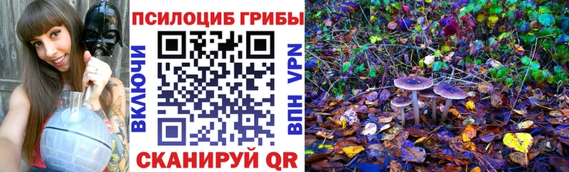 Псилоцибиновые грибы MAGIC MUSHROOMS Павлово